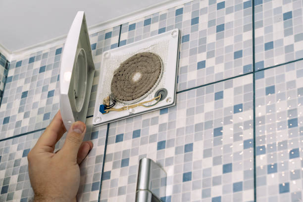 Best Professional Duct Cleaning Services  in Eustis, FL
