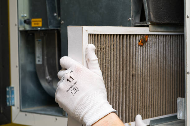 Best HVAC System Cleaning  in Eustis, FL