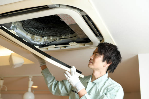 Best Affordable Duct Cleaning Services  in Eustis, FL