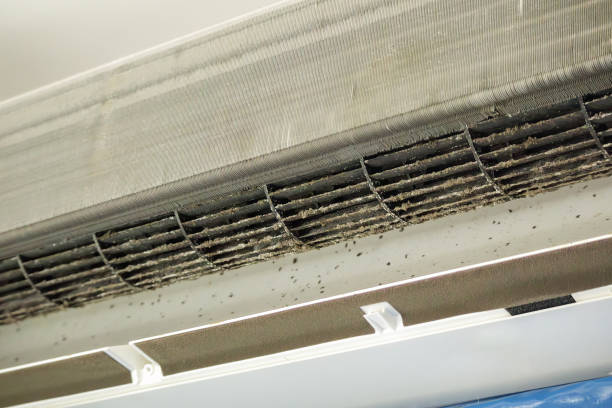 Best HVAC Duct Inspection Services  in Eustis, FL