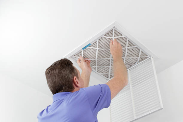 Best Air Duct Sanitizing Services  in Eustis, FL